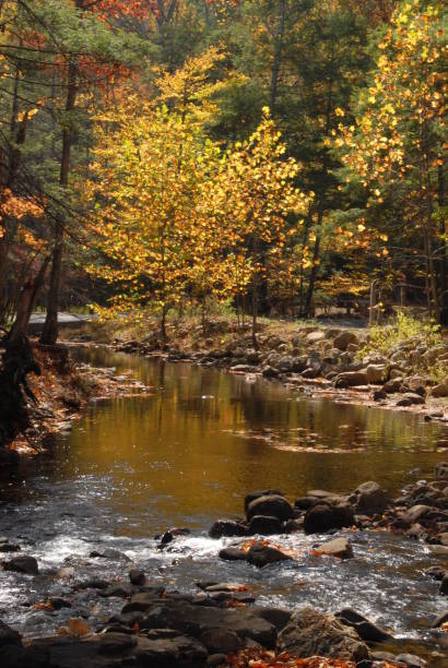 istock Autumn in the Shenandoahs, Virginia 1061046726