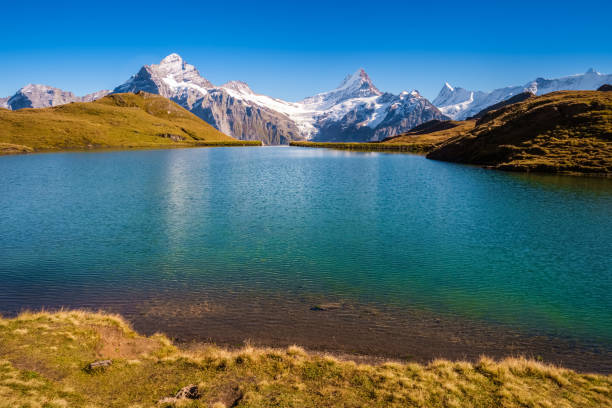 istock Encountering Bachalpsee when hiking First to Grindelwald (Bernese Alps, Switzerland). 1061048562