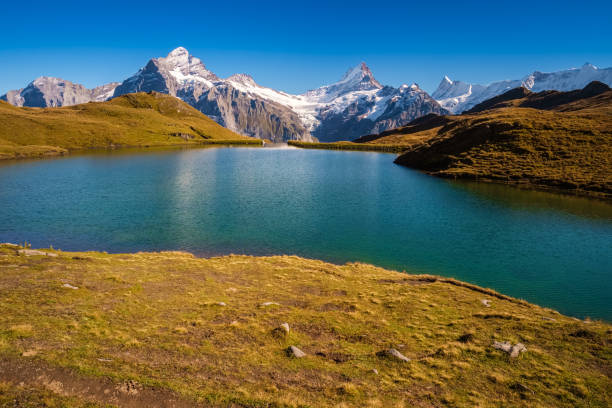 istock Encountering Bachalpsee when hiking First to Grindelwald (Bernese Alps, Switzerland). 1061049072