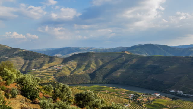 Cinemagraph of Douro valley at sunset
