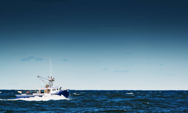 lobster boat in bay of fundy - horizontal nova scotia bay of fundy bay imagens e fotografias de stock