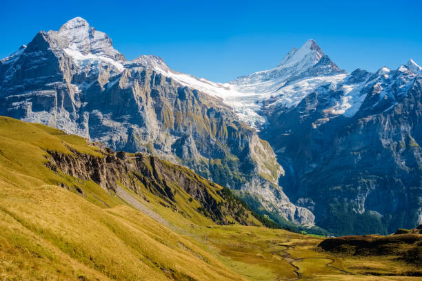 istock Famous hiking trail from First to Grindelwald (Bernese Alps, Switzerland) 1061054246