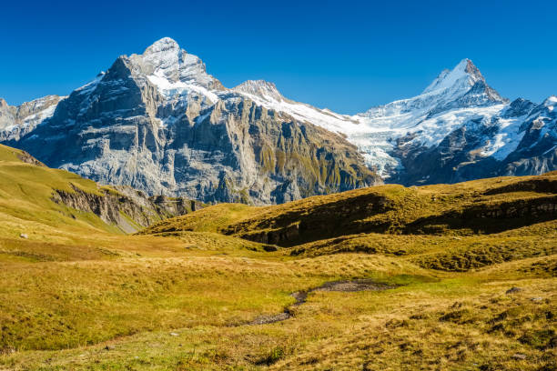 istock Famous hiking trail from First to Grindelwald (Bernese Alps, Switzerland) 1061054902