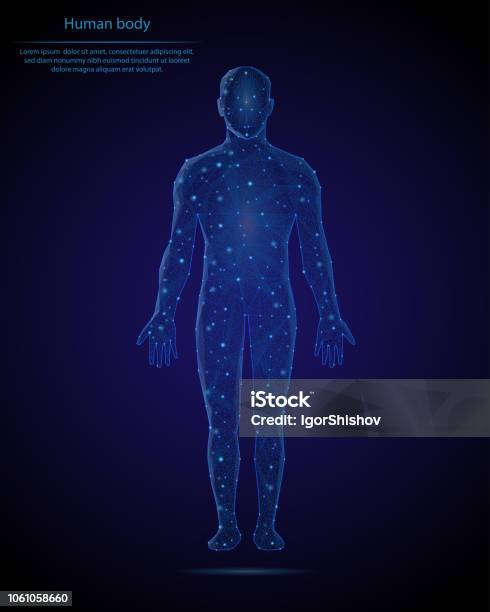 Abstract Image Of A Human Body In The Form Of A Starry Sky Or Space Consisting Of Points Lines And Shapes In The Form Of Planets Stars And The Universe Low Poly Vector Background Stock Illustration - Download Image Now
