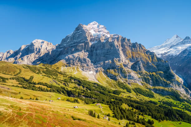 istock Famous hiking trail from First to Grindelwald (Bernese Alps, Switzerland) 1061058908