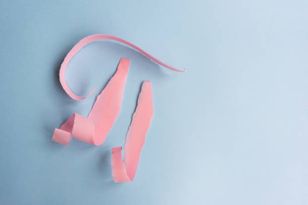 istock Abstract background - torn pink paper on blue 1061060348