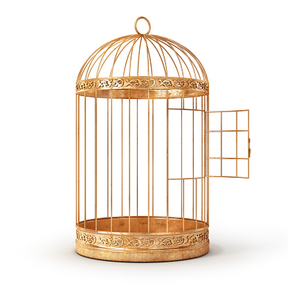 Two bird cages on a shelf.