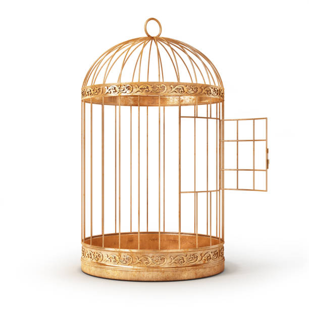 Success concept. Open bird's cell isolation on a white background. 3d illustration Success concept. Open bird's cell isolation on a white background. 3d illustration cage stock pictures, royalty-free photos & images