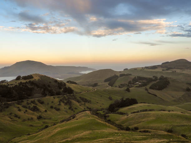 istock Dunedin, New Zealand 1061071972