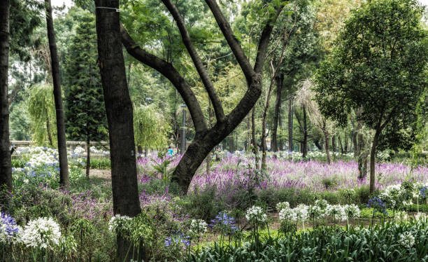 istock Park in Mexico City 1061071990