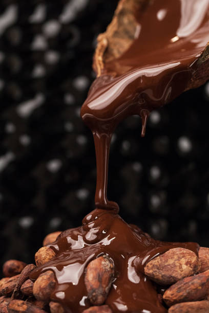 Chocolate Covered Almonds