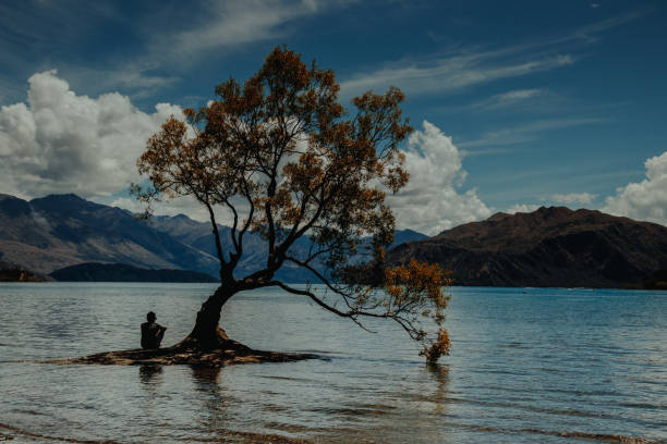 istock Anonymous person sitting near tree and water 1061073742