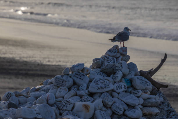 Single seagull on top of composed pebbles with tourists marks for memory on beach of ocean, New Zealand