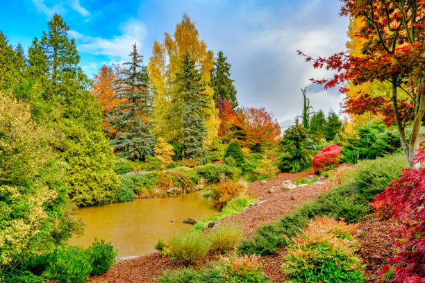 istock Pond surrounded by trees and shrubbery in fall colors 1061075876