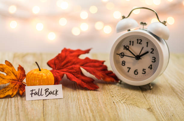 Fall Back Daylight Saving Time concept with white clock and autumn leaves Fall Back Daylight Saving Time concept with white clock and autumn leaves, soft bokeh background on wooden board daylight saving time stock pictures, royalty-free photos & images