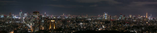 도쿄에서 빛 도시 - tokyo prefecture tokyo tower night skyline 뉴스 사진 이미지