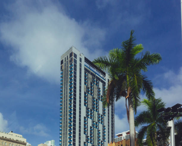 istock Building by palm tree in downtown Miami, Florida, USA 1061091366