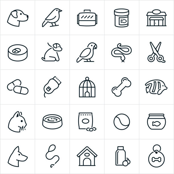 Pet Shop Icons A set of pet shop icons. The icons include a labrador dog, bird, dog kennel, fish food, pet food, shop, store, parrot, snake, grooming, medication, bird cage, dog bone, tropical fish, cat, pet toys, fish, fish bowl, german Shepard, leash, dog house and dog tag to name a few. black german shepherd dog or alsatian wolf dog stock illustrations