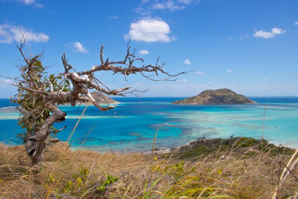Lizard island in North Queensland Lizard island looking at the blue lagoon from the hilltop lizard island stock pictures, royalty-free photos & images