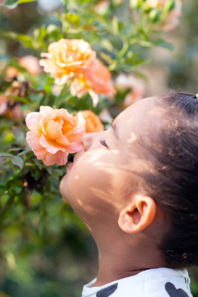 istock Little girl sniffing a rose. 1061129248