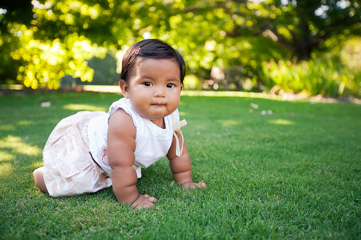 Adorable baby girl learning to crawl in a beautiful park with green grass