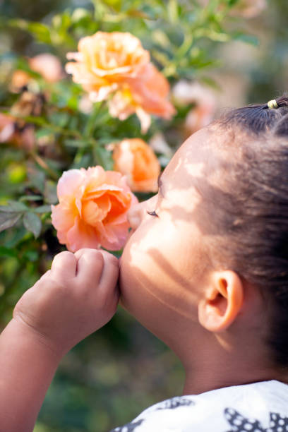 istock Little girl sniffing a rose. 1061135520