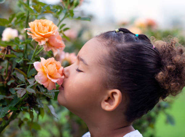 istock Little girl sniffing a rose. 1061143654