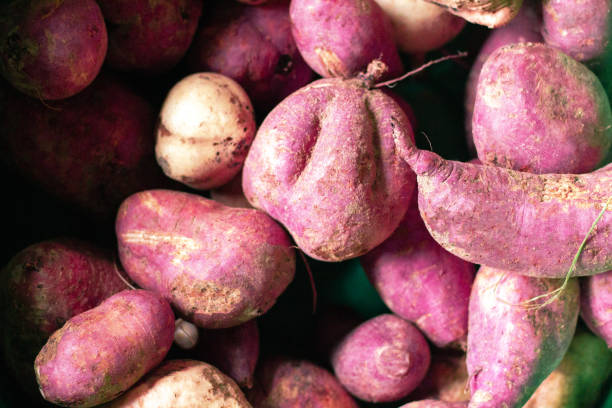 istock Fresh purple yams pile to view. 1061147012