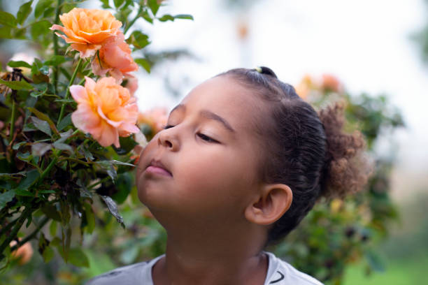istock Little girl sniffing a rose. 1061149020