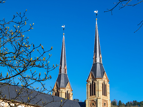 The two church spires of the Parish Church of St. Lawrence in Diekirch, Luxembourg topped by weathercocks against a clear blue sky and March budding tree branches