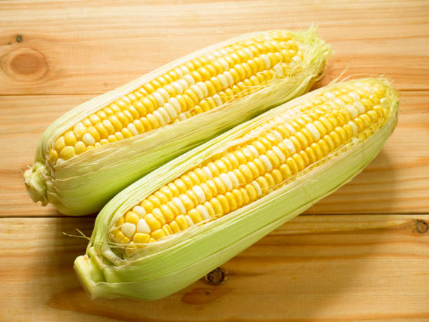 Ears of bicolor sweet corn