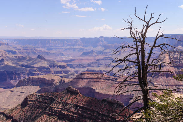 istock The Grand Canyon 1061155378