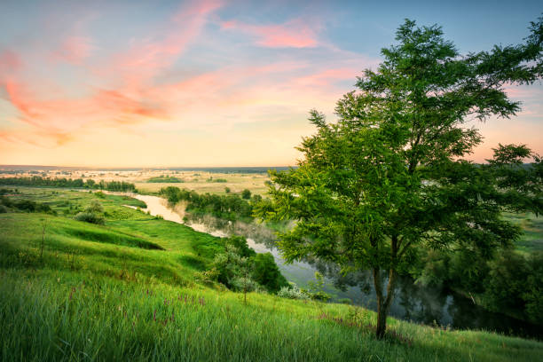 istock River in valley with green grass under dawn sky 1061160908