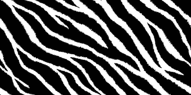 nahtlose muster mit zebra-print. vektor-illustration. tierfell textur. - tierimitation stock-grafiken, -clipart, -cartoons und -symbole