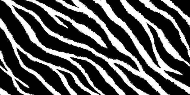bezszwowy wzór z nadrukiem zebry. ilustracja wektorowa. tekstura futra zwierzęcego. - pattern animal tiger zebra stock illustrations