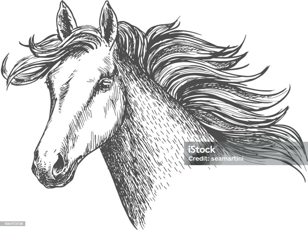 Freely running white beautiful horse mare Freely running white beautiful horse mare. Mustang head portrait with waving main in wind. Vector sketch icon for sport races emblem, hippodrome label, picture decoration design element Horse stock vector