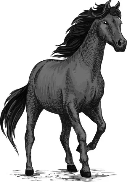 Vector illustration of Gray horse with stomping hoof