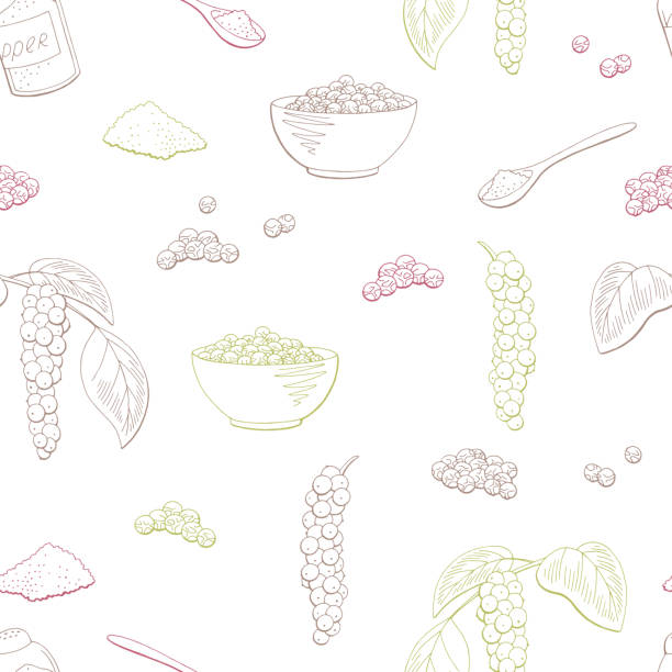 ilustrações de stock, clip art, desenhos animados e ícones de black pepper plant color seamless pattern background sketch illustration vector - pink pepper