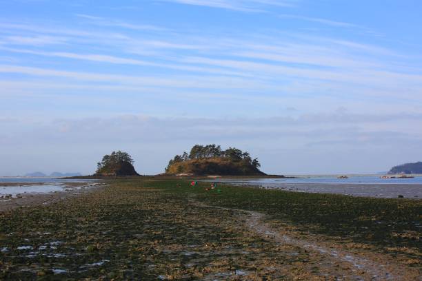 istock VD714 maemseom-Winter sea 1061183866
