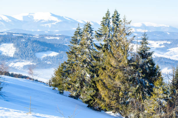 istock Beautiful winter landscape with snow covered trees. Winter mountains. 1061192188