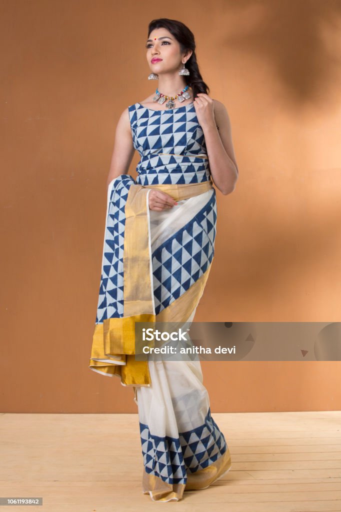 charming Indian woman in traditional saree indoor lighting, looking at the camera Culture of India Stock Photo