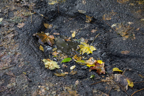istock large pit with stones on the asphalt road 1061198646