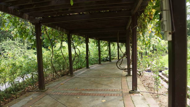 istock wooden canopy in the gardens 1061201466