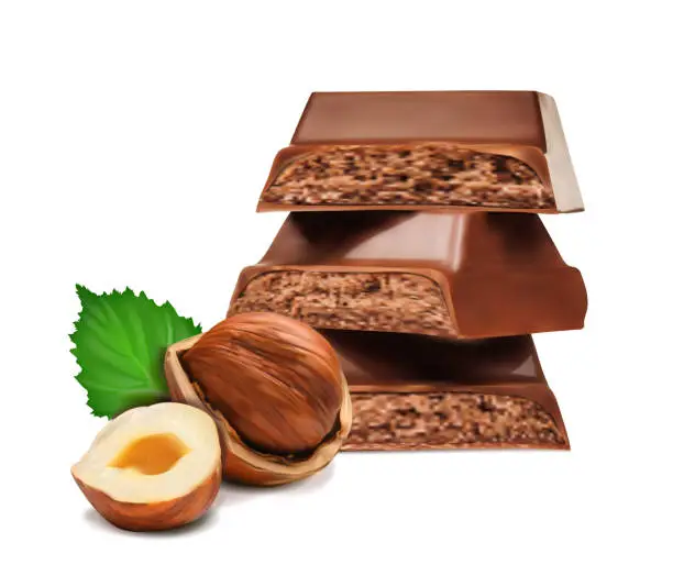 Vector illustration of pieces of dark chocolate with hazelnuts on a white backgroun