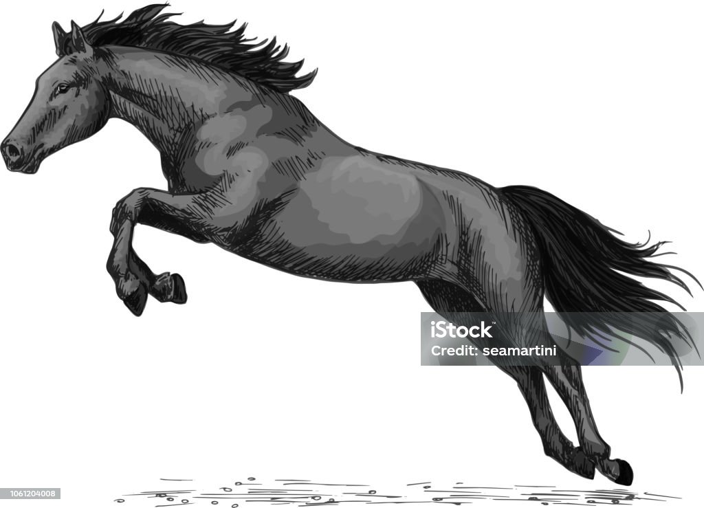 Horse running and jumping vector sketch symbol Horse or wild stallion running in gallop and jumping over. Black mustang trotter racer or racehorse vector symbol for equine sport races or rides, equestrian sport contest or exhibition Mustang - Wild Horse stock vector