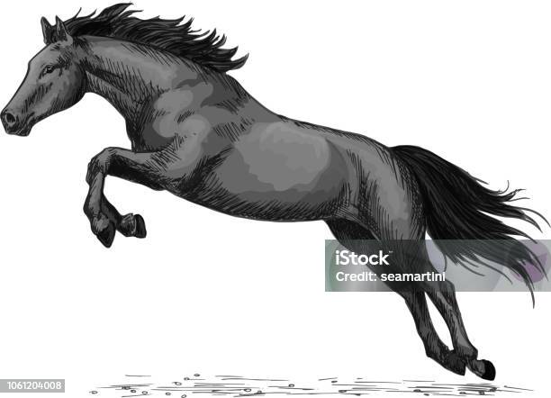 Horse Running And Jumping Vector Sketch Symbol Stock Illustration - Download Image Now - Mustang - Wild Horse, Black Color, Horse