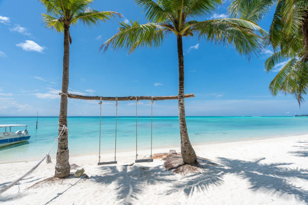 istock swings on a tropical beach 1061204318