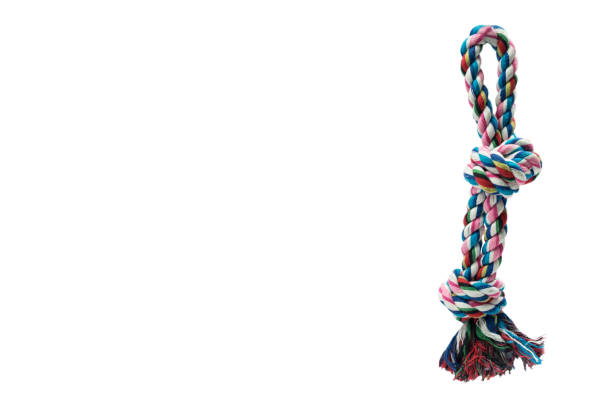 Pet accessories concept.  Pet Toy Bite on isolated white background.