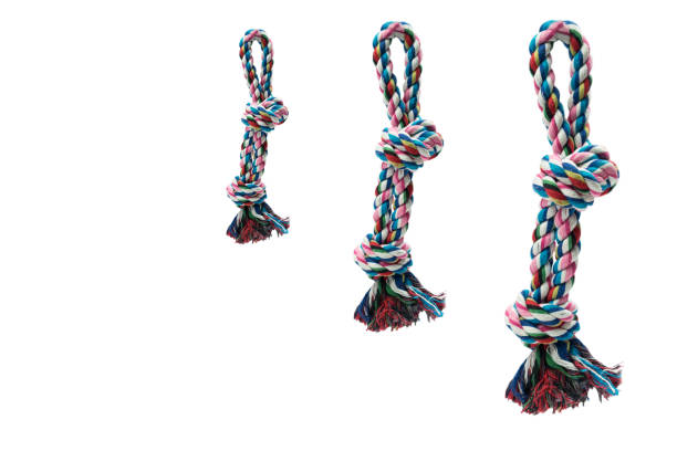 istock Pet accessories concept.  Set Pet Toy Bite on isolated white background. 1061210130