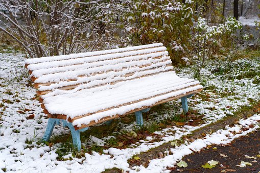 Snow covered park bench with memorial plaque